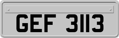 GEF3113
