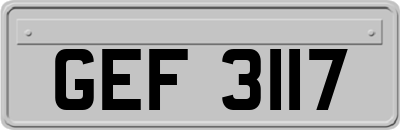 GEF3117