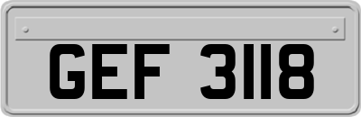 GEF3118