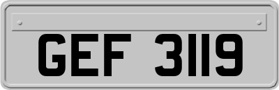 GEF3119