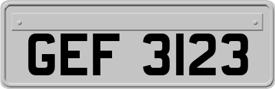 GEF3123