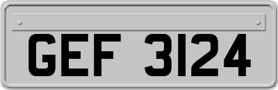 GEF3124