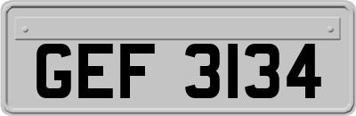 GEF3134