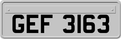 GEF3163