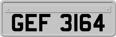 GEF3164