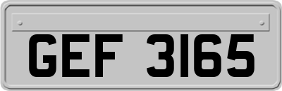 GEF3165