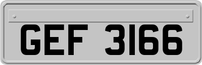 GEF3166
