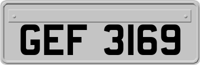 GEF3169