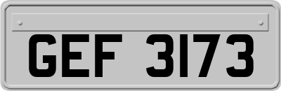 GEF3173