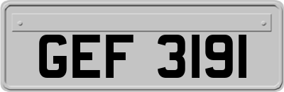 GEF3191