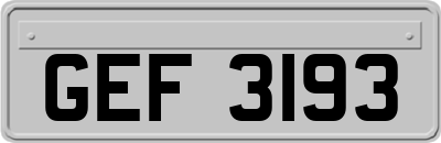 GEF3193