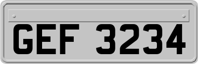 GEF3234