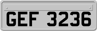 GEF3236