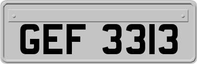GEF3313
