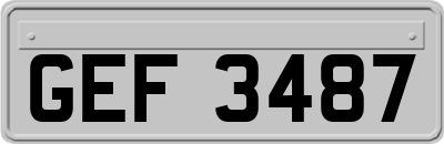 GEF3487