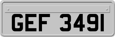 GEF3491