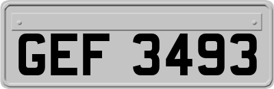 GEF3493