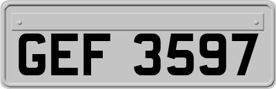 GEF3597