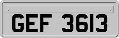 GEF3613