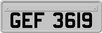 GEF3619