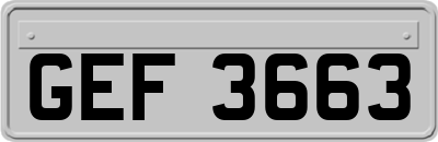 GEF3663