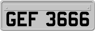 GEF3666
