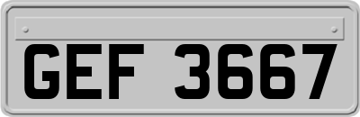 GEF3667