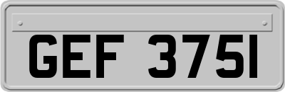 GEF3751