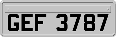 GEF3787