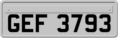 GEF3793