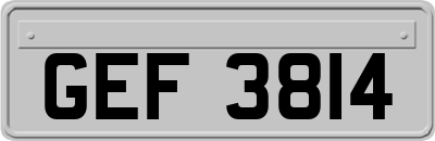 GEF3814