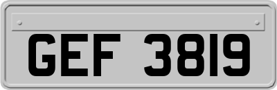 GEF3819