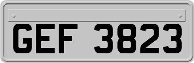 GEF3823
