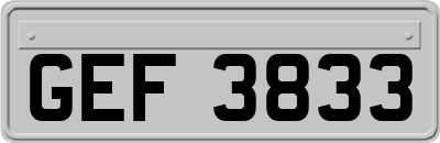 GEF3833