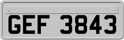 GEF3843
