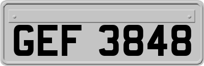 GEF3848