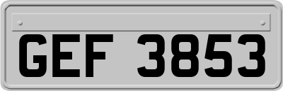 GEF3853