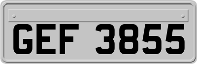 GEF3855