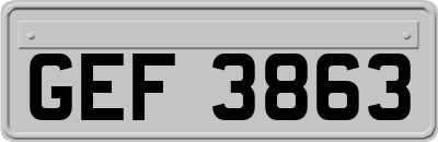 GEF3863