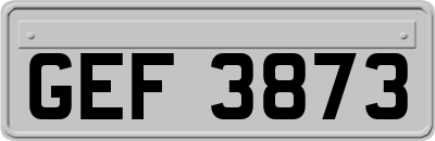 GEF3873