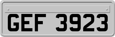 GEF3923