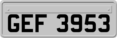 GEF3953