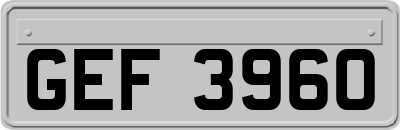 GEF3960
