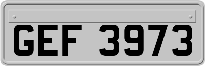 GEF3973