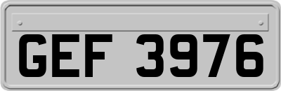 GEF3976