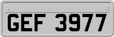 GEF3977
