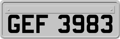 GEF3983
