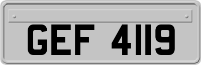 GEF4119
