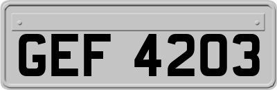 GEF4203