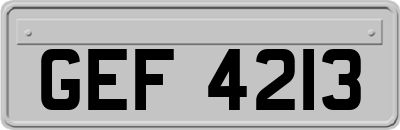 GEF4213